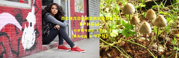 соль ск Верея