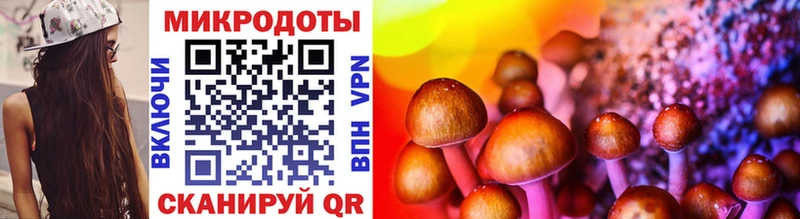 MEGA ссылки  Волгодонск  Галлюциногенные грибы GOLDEN TEACHER  цены наркотик 